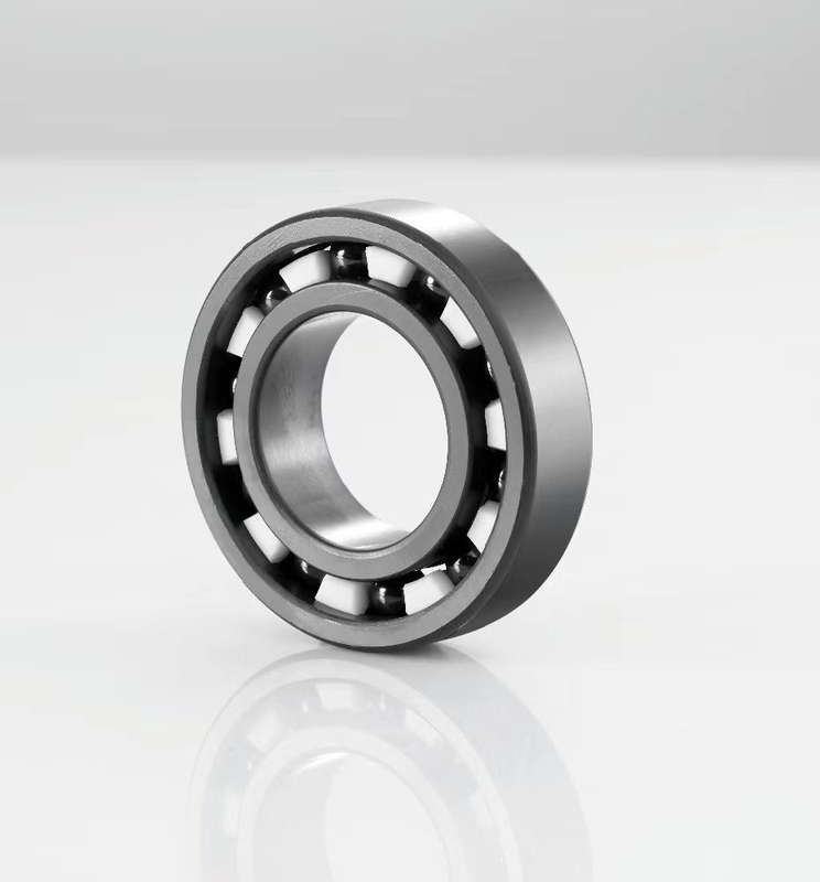 Eenvoudige rij 6006 6000 Deep Groove SS Ball Bearing 6190 2RS met 2RS/RS/ZZ/Z afdichtingen